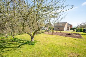 Side Garden- click for photo gallery
